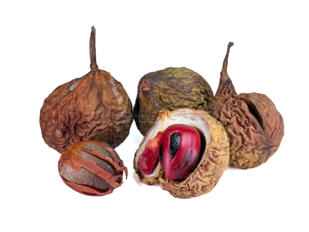 A group of dried whole nutmeg seeds ready for the spice market