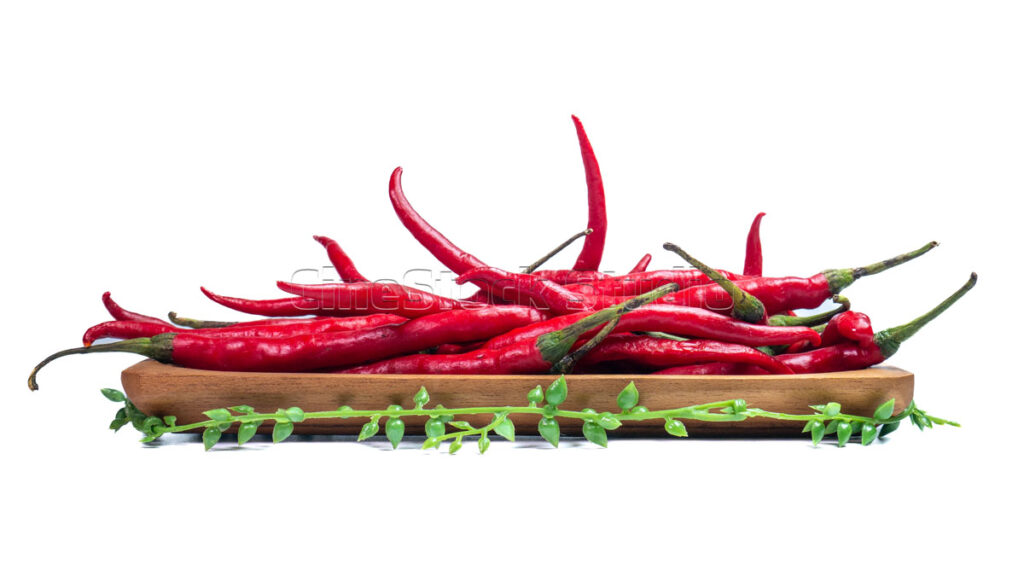 Long red chili peppers with green stalks isolated on white background