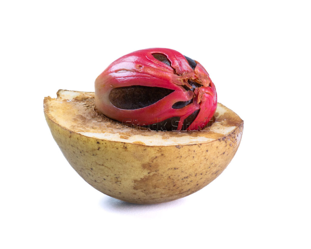 A half cut nutmeg fruit with seed isolated on a clean white background