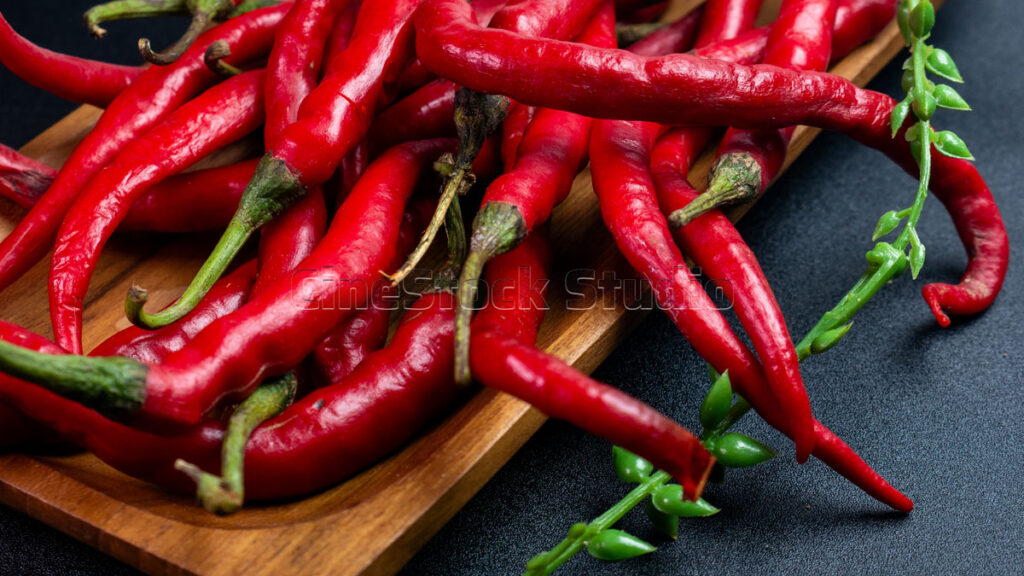 Pile of freshly harvested long red chili peppers on a wooden tray