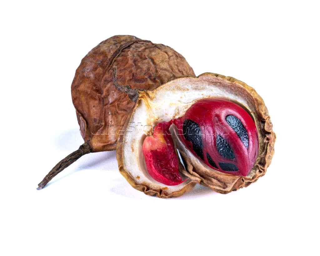 Macro shot of a whole nutmeg seed with bright red mace spice
