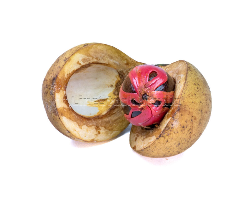 An opened nutmeg fruit showing the seed and shell on white background