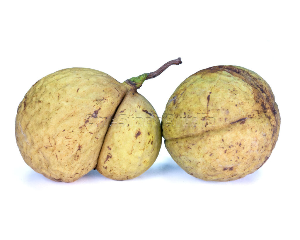 Close up of a pair of whole nutmeg seeds isolated on white background