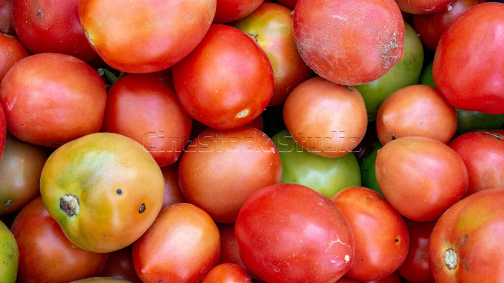 A pile of freshly harvested red tomatoes from tomato plants