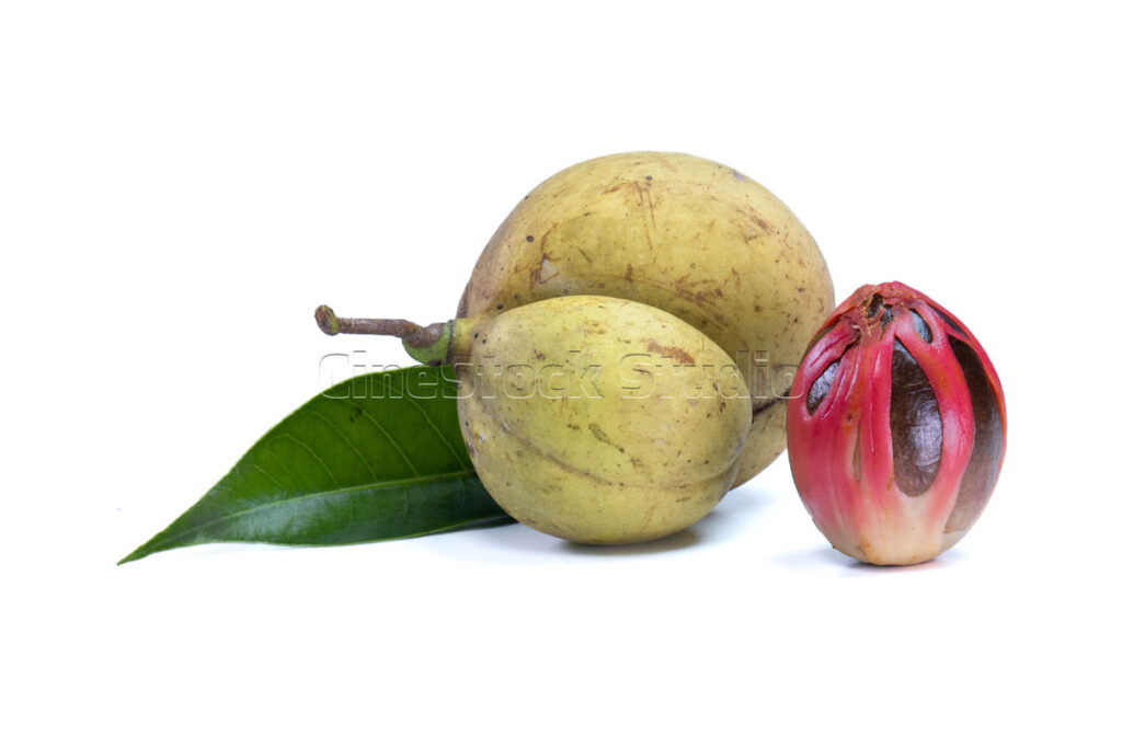 Two whole nutmeg seeds with red mace shell from a fresh harvest