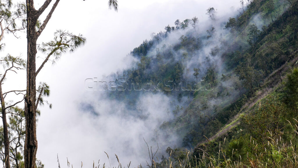 Panorama of a mountain slope covered in thick fog.
