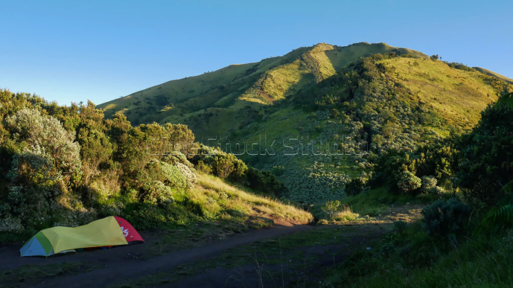 Morning at Mount Merbabu campsite, the mountain peak and grasslands are visible.
