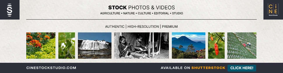 Download high-quality professional floral assets and agriculture nature stock photos for marketing and design on Shutterstock.