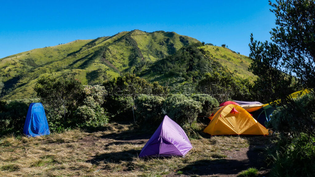View at Mount Merbabu camping site with colorful tents.