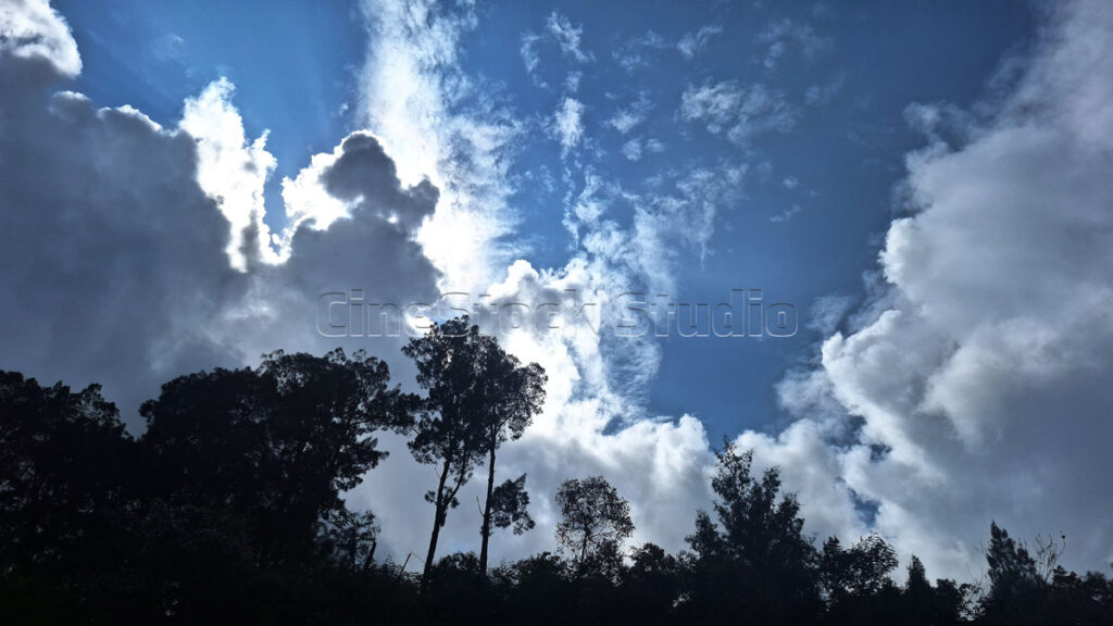 Blue Sky with Thick Clouds and Tree Silhouettes.