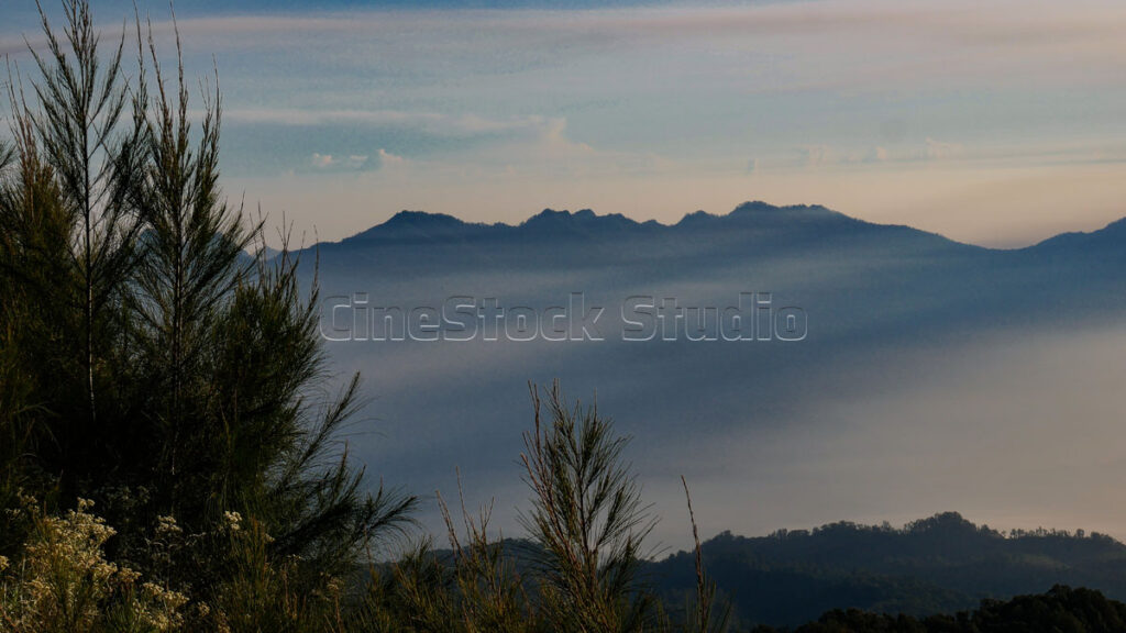 Silhouette of the Anjasmoro mountains in the morning with a sea of ​​clouds and thin mist below.