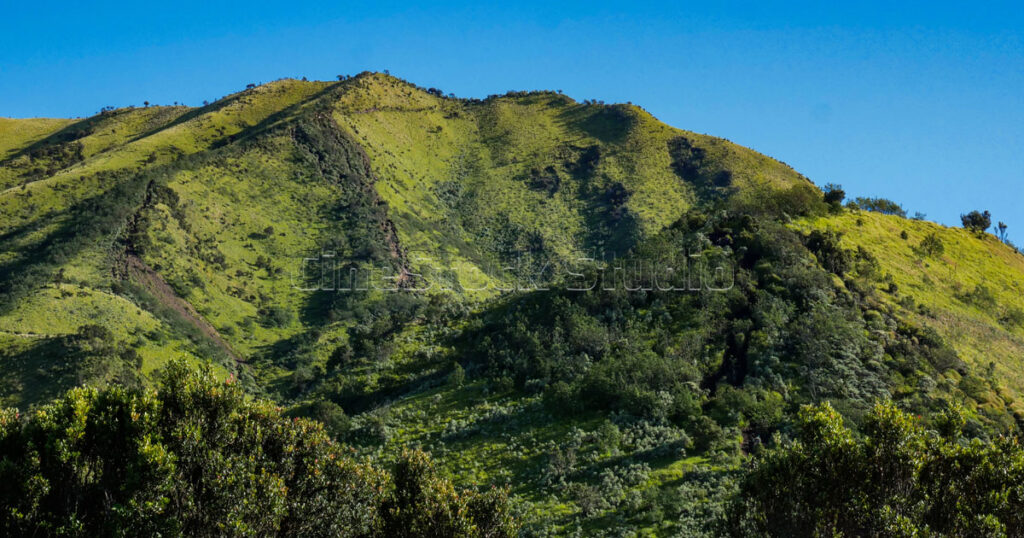 View of the hiking trail through the grasslands of Mount Merbabu.