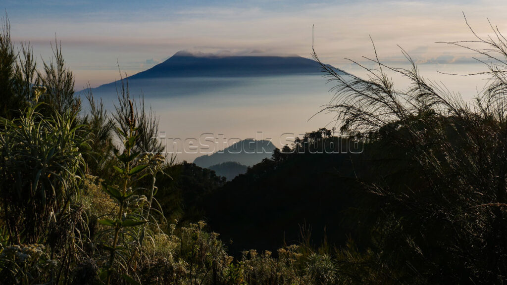 View of Mount Arjuno Welirang with a sea of ​​clouds and light mist in the morning.