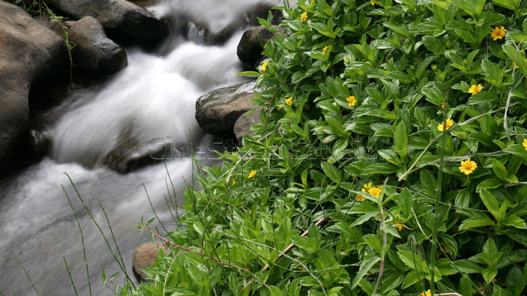 Long exposure Clear river water flows gently between large and small rocks,