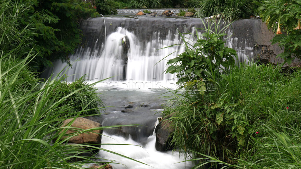 Long exposure natural Beauty of Waterfall Amidst Greenery.