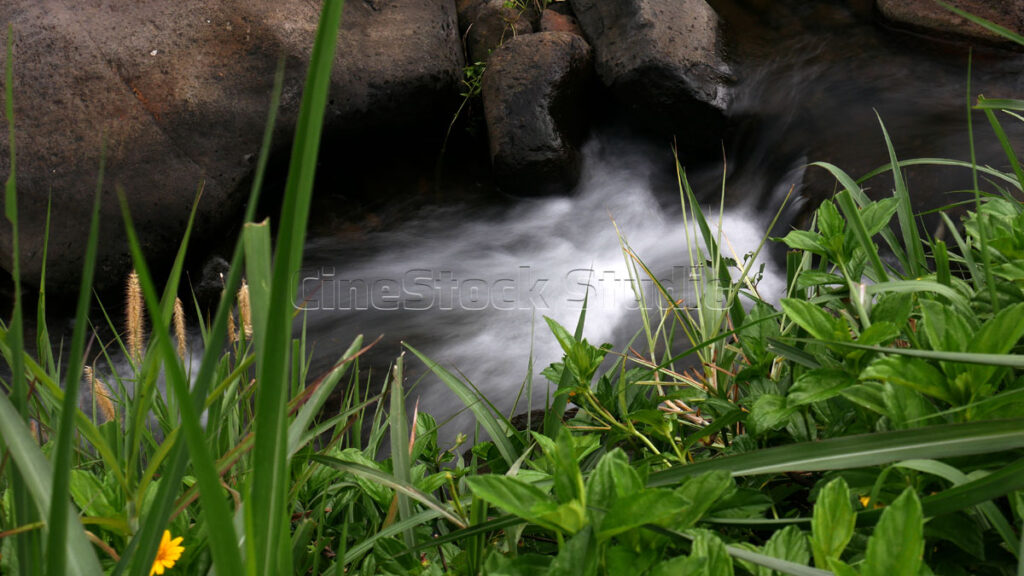 Long exposure flowing River with Large Rocks and Yellow Flowers.