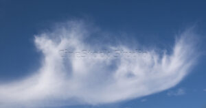 The beautiful and amazing view of clouds with abstract shape.