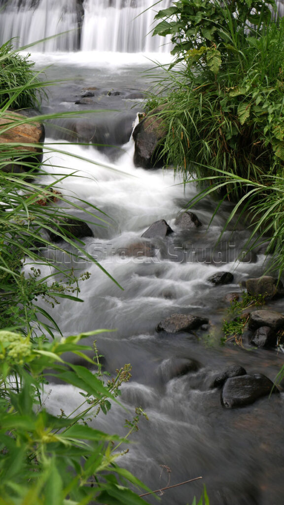 Long exposure small Waterfall with Grasses and Rocks.