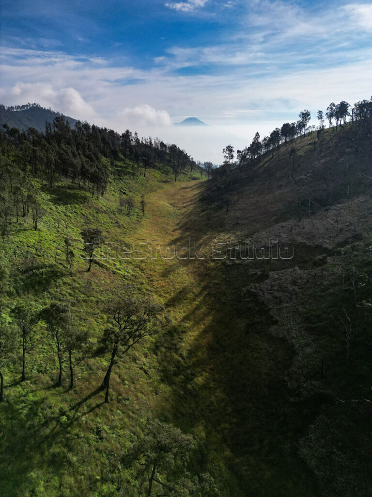 Aerial view of the green valley of grasslands contrasting with the bright blue sky.