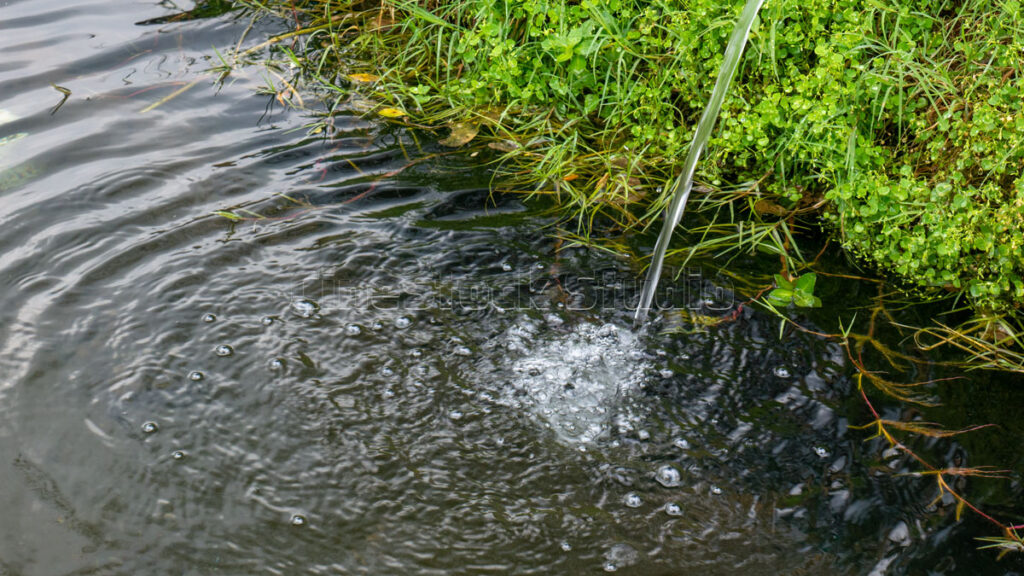 Fresh Water Source Flowing into Pond.