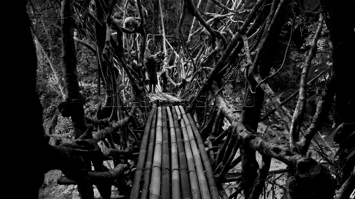 Black and white photography of Baduy Root Bridge texture