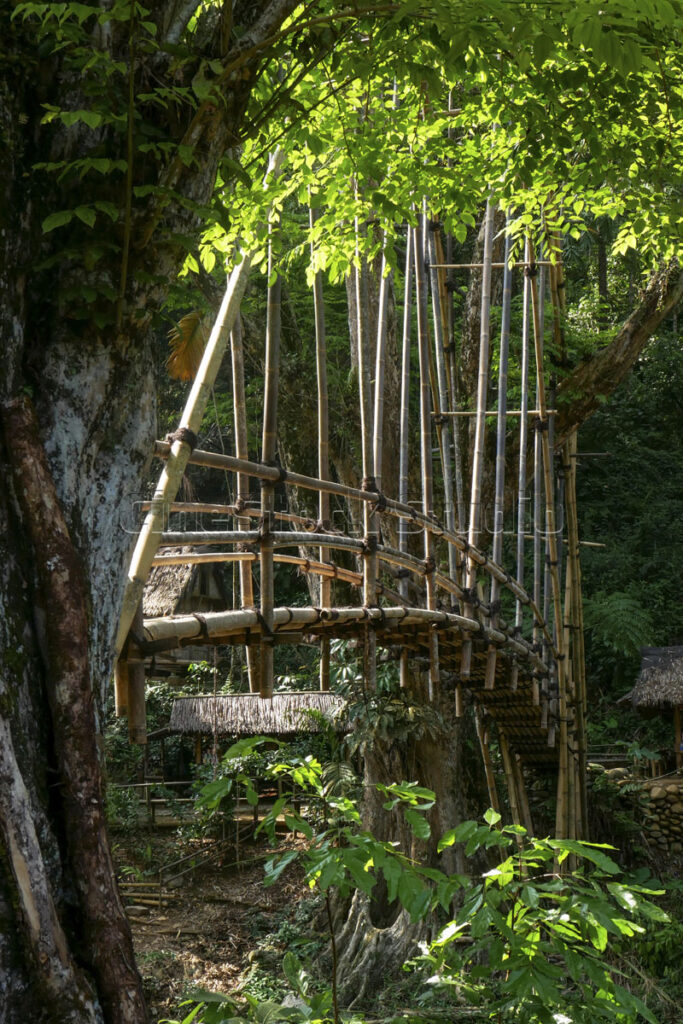 Sunlight filtering through trees onto the bamboo bridge structure.