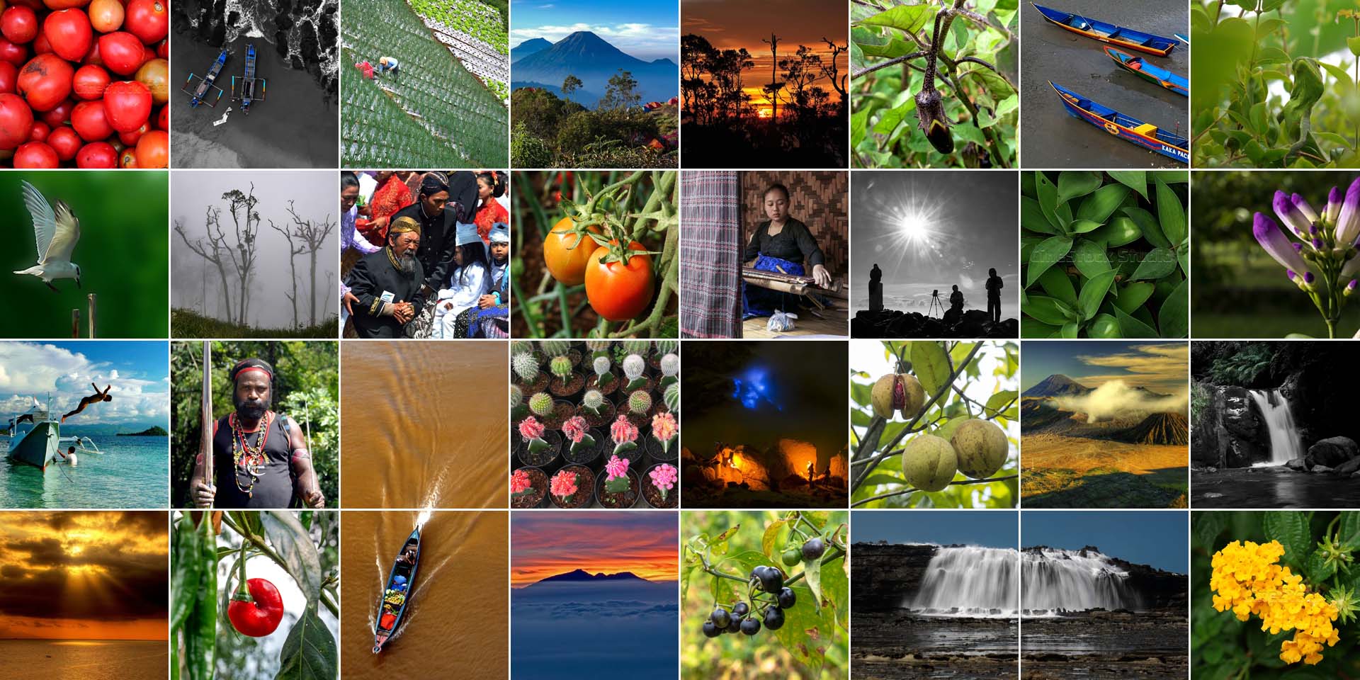 Authentic Stock photos and video by CineStock Studio