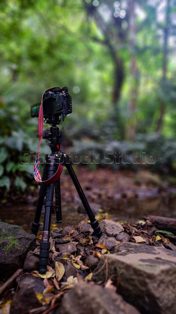 A camera rig on a black tripod positioned on the damp banks of a peaceful river inside a dense forest.