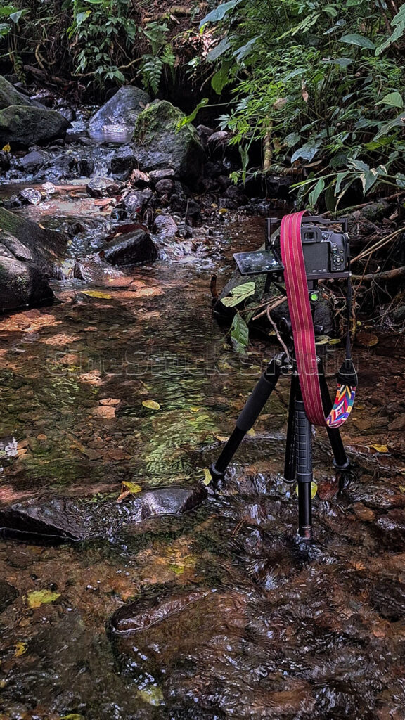 A Lumix G85 mirrorless camera with a red strap mounted on a tripod standing directly inside a shallow rocky river stream.