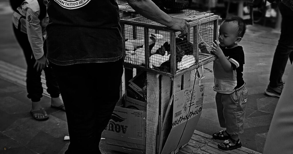 Featured image in black and white showing a close-up of a mobile rabbit vendor by his wooden cage as a young child looks inside.