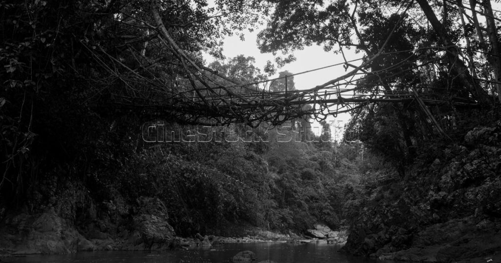 The complete structure of Baduy Root Bridge over Cisimeut River