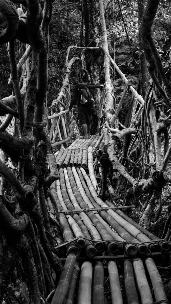 The natural architectural marvel of the Baduy Root Bridge