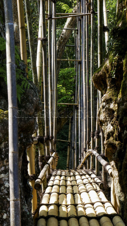 A vertical look at the complex network of bamboo poles that provide strength and stability to the bridge's framework. Vertical detail of the tall bamboo scaffolding supporting the bridge.
