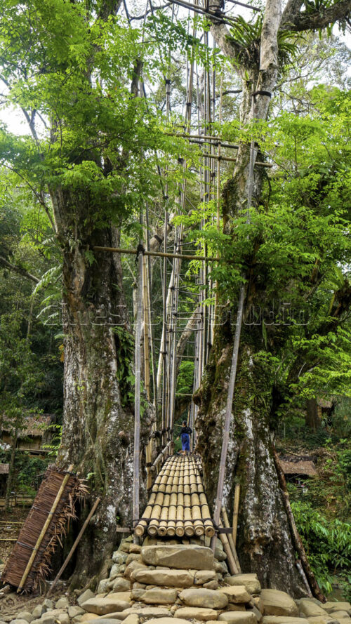 The entrance of the bridge where the stone foundation meets the bamboo structure, marking the gateway to the heart of Baduy. The stone-based entrance of Gajeboh Bamboo Bridge in the lush forest.