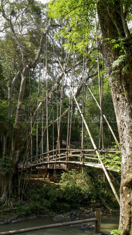 A side perspective of the Gajeboh bridge, illustrating how the traditional structure harmonizes with the surrounding lush vegetation. Side view of the Gajeboh Bamboo Bridge surrounded by dense forest.