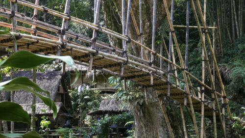 A detailed look at the ancient binding techniques, using only rattan and bamboo without any metal fasteners. Close-up of traditional bamboo joints and rattan lashings.